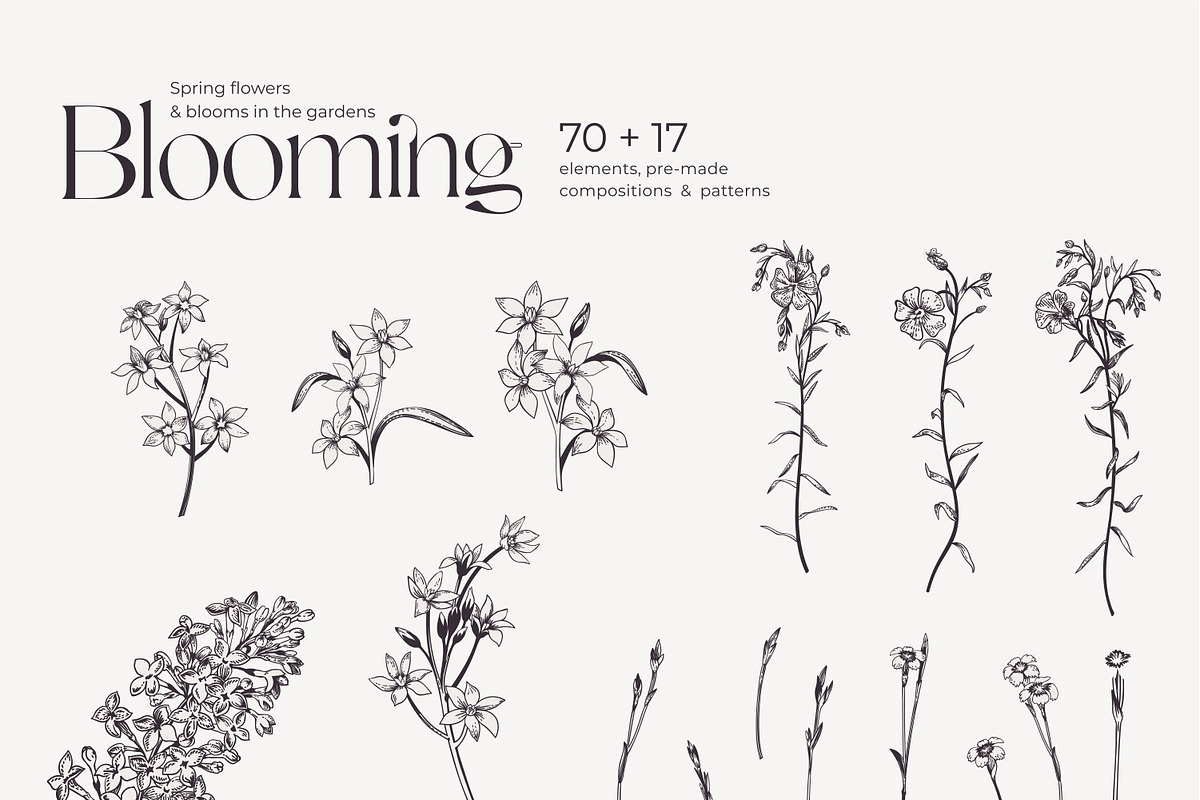 Blooming, an Illustration by Lisla (Photo 2 of 11)