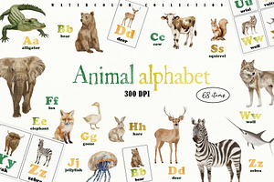 Animal Alphabet Flashcards, an Education Illustration by Sunshine Art