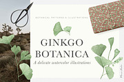 Ginkgo Botanica - Florals & Leaves, a Texture Illustration by Momo Studio (Thumbnail 1 of 12)