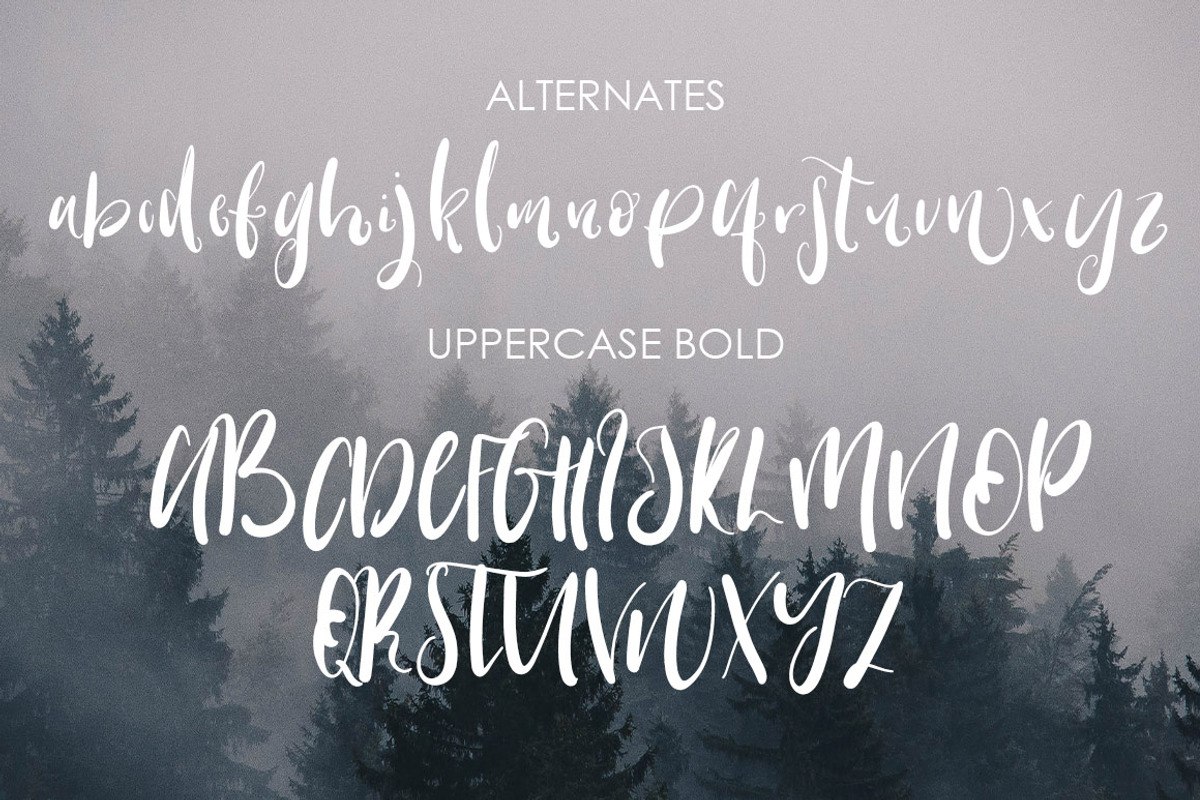 Warrenson Script Font, a Script Font by Creativeqube Design (Photo 15 of 19)