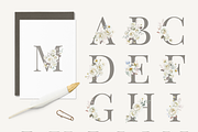 Garden Ivory Botanical Set, a Decorative Illustration by Karma (Thumbnail 9 of 20)