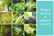 Forest Background Photo Bundle, a Nature Photo by kristiangallagher (Thumbnail 4 of 5)