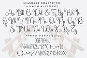 Winter Handmade, a Handwritten Font by InermediaSTUDIO (Thumbnail 3 of 8)