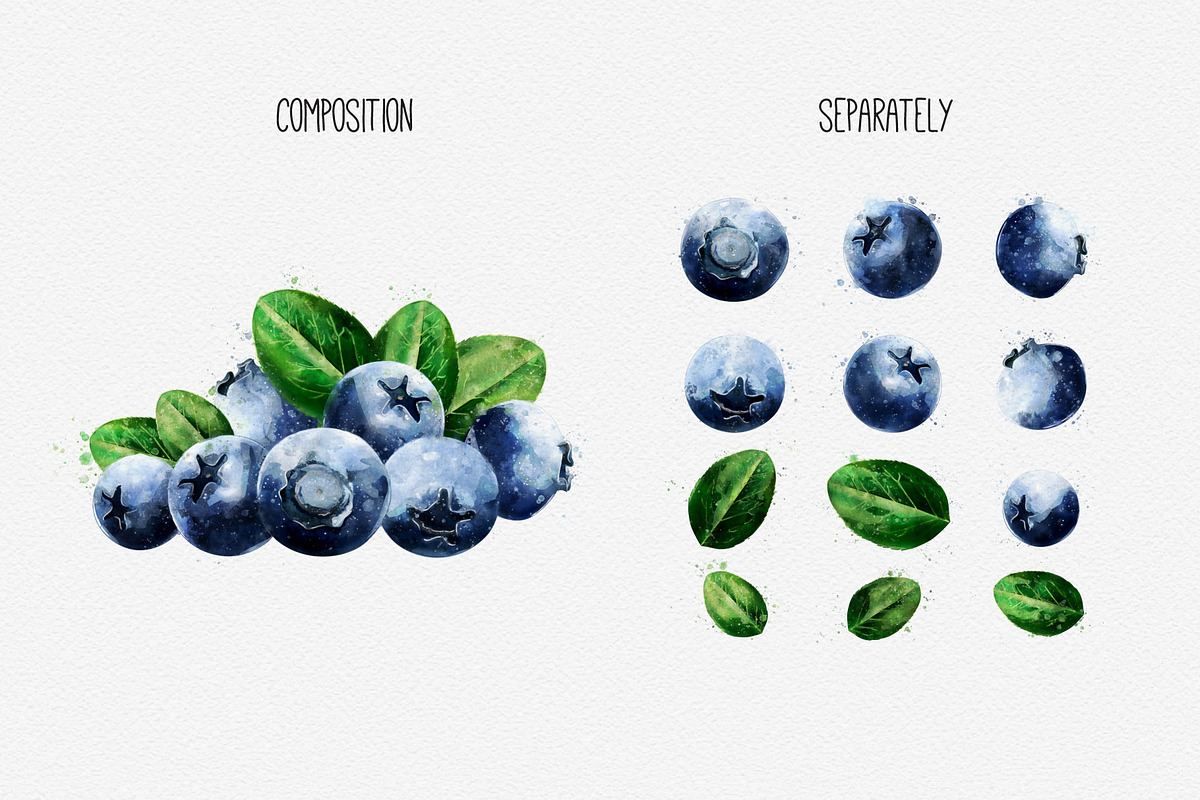 Watercolor Fruits And Vegetables, an Object Graphic by ConceptCafe (Photo 3 of 7)