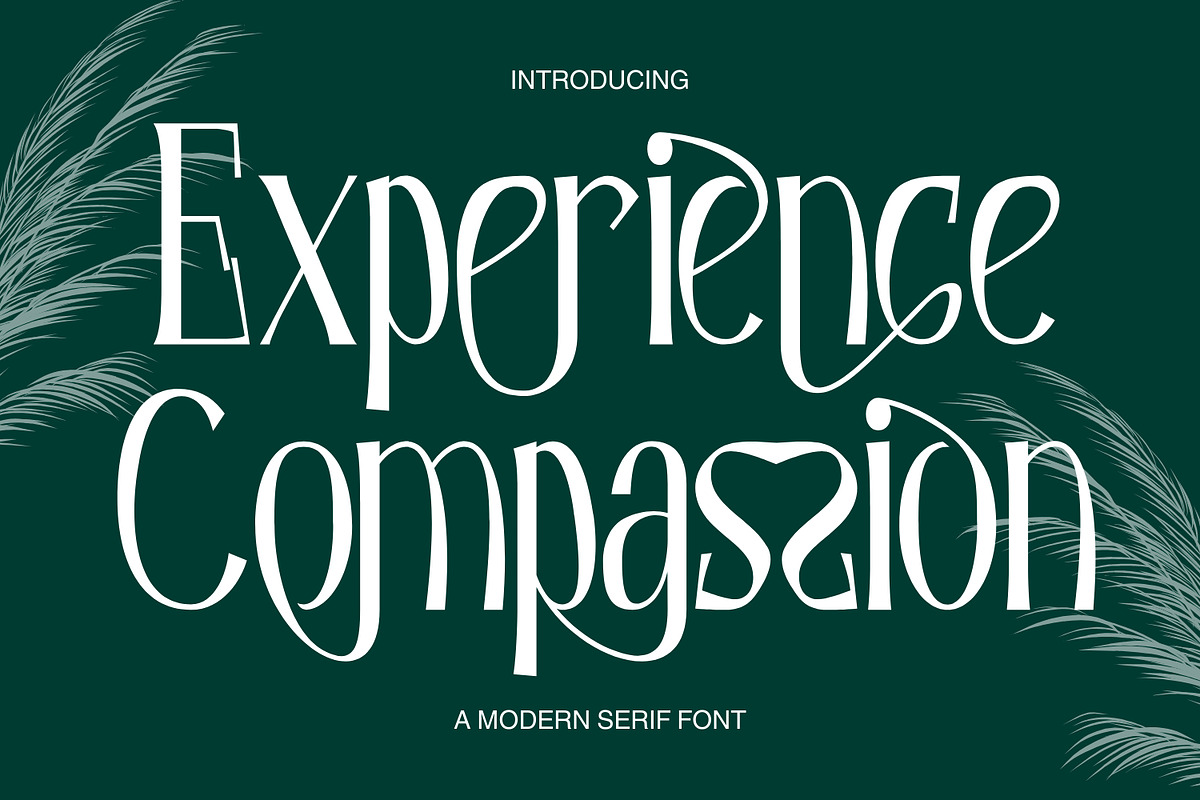 Experience Compassion - Modern Font, a Serif Font by 177Studio (Photo 1 of 8)