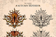Autumn Moths & Dried Botanicals, an Animal Illustration by Ink Stories (Thumbnail 9 of 18)