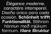 Alvara Sans High Contrast Family, a Sans Serif Font by Lettertype Studio (Thumbnail 13 of 15)