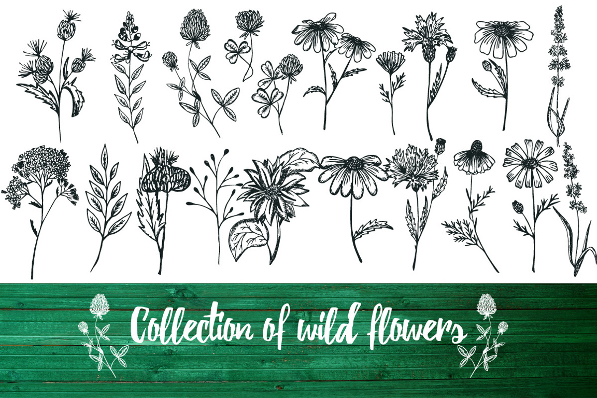 Big collection wild flowers!, an Illustration by TashaDraw (Photo 2 of 6)