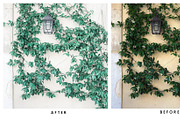 Natural Lightroom Mobile Preset, an Action Add-On by Lux Light (Thumbnail 28 of 28)