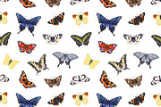 Vintage butterflies seamless pattern, a Pattern Graphic by Good Studio (Thumbnail 3 of 8)