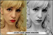 Leica Colors & Sensor Luminance, a Plug-in Add-On by Raztrend (Thumbnail 7 of 29)
