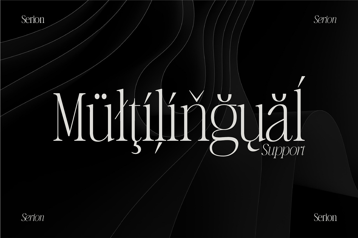Serion Family, a Serif Font by Prestige Artsy Studio (Photo 9 of 10)