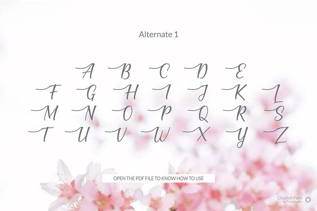 Cherish Modern Script Font Set, a Script Font by TrimStudio (Photo 8 of 11)
