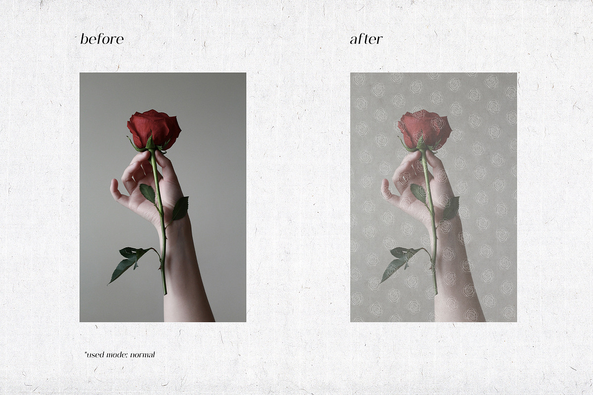 Transparent Papers Overlays, a Texture Graphic by Kaleriia (Photo 6 of 7)