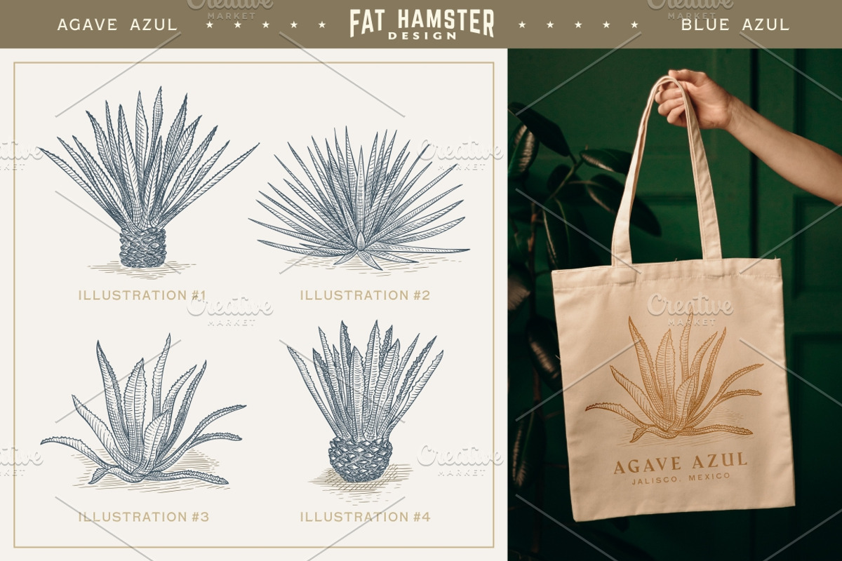 Agave hand drawn vector illustration, an Illustration by Fat Hamster (Photo 2 of 7)