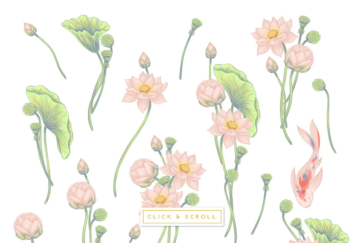 LOTUS- patterns & motifs, a Decorative Illustration by Liiafis (Photo 12 of 17)