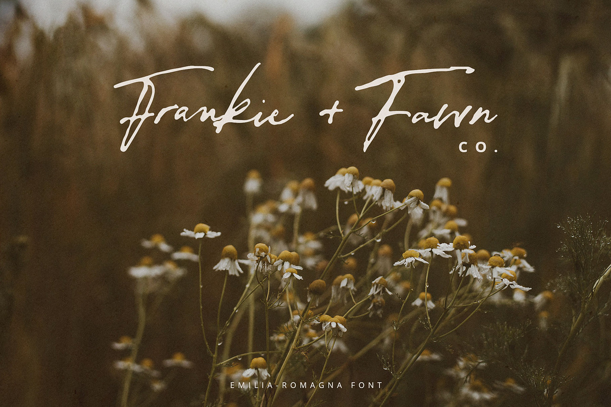 Emilia-Romagna Script Font, a Script Font by Creativeqube Design (Photo 8 of 13)