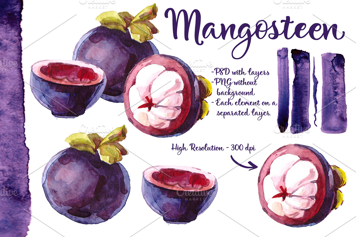 Watercolor Mangosteen. tropical, a Food Illustration by Olesya Morokhovets