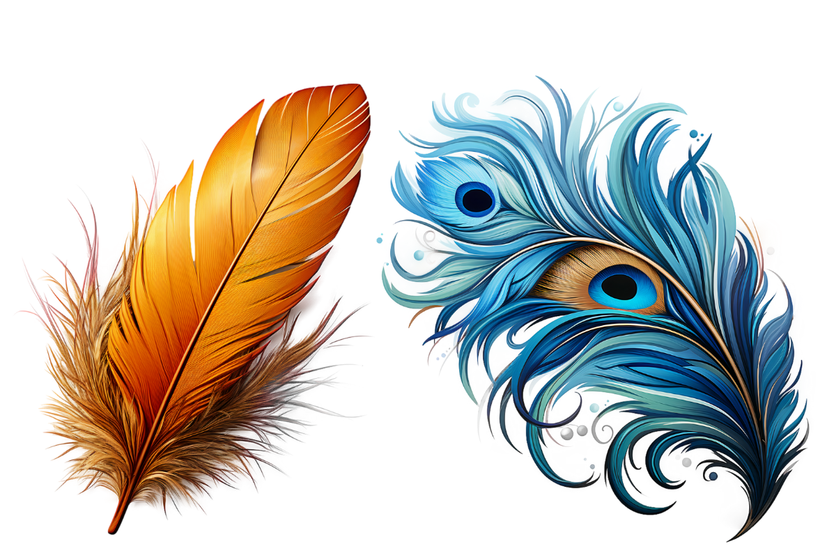 Birds Feathers Clipart, an Object Graphic by Agnesagraphic (ID 95) (Photo 7 of 7)
