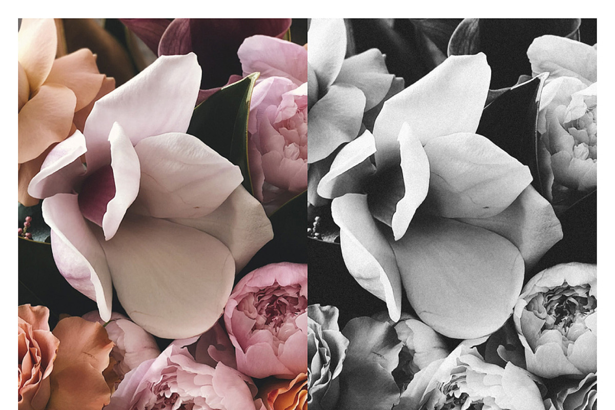 Bundle 150+ Lightroom Presets, a Preset Add-On by Daily Studio (Photo 3 of 10)