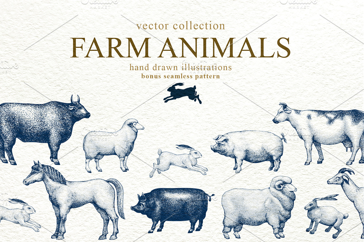 Farm Animals Vector Collection, an Animal Illustration by Lubov Illustrations Shop (Photo 1 of 4)