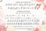 Magnolia Signature | Script Font, a Handwritten Font by Scratchones (Thumbnail 7 of 8)
