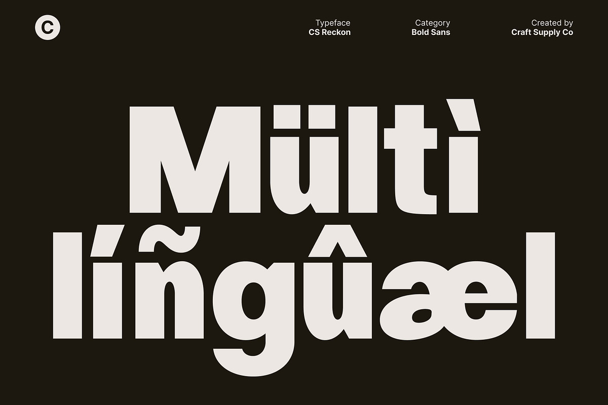 CS Reckon – Bold Sans Serif, a Sans Serif Font by Craft Supply Co. (Photo 5 of 8)