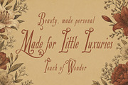 Krample Yards - Artisanal Soul, a Script Font by HypeWorksCo (Thumbnail 12 of 21)