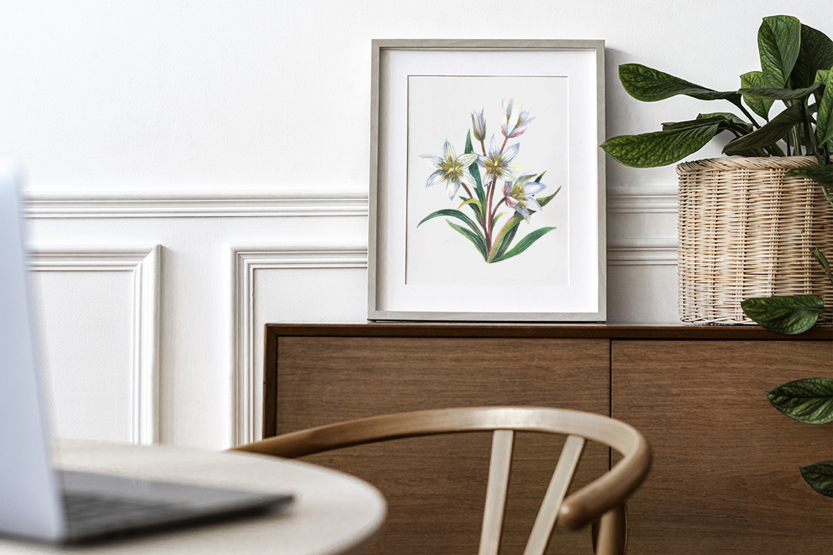 Japan native wild flowers watercolor, a Decorative Illustration by FITALARTSNEDIGI (Photo 7 of 8)