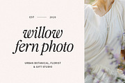 Praktive Serif Font, a Serif Font by Attract Studio (Thumbnail 10 of 12)