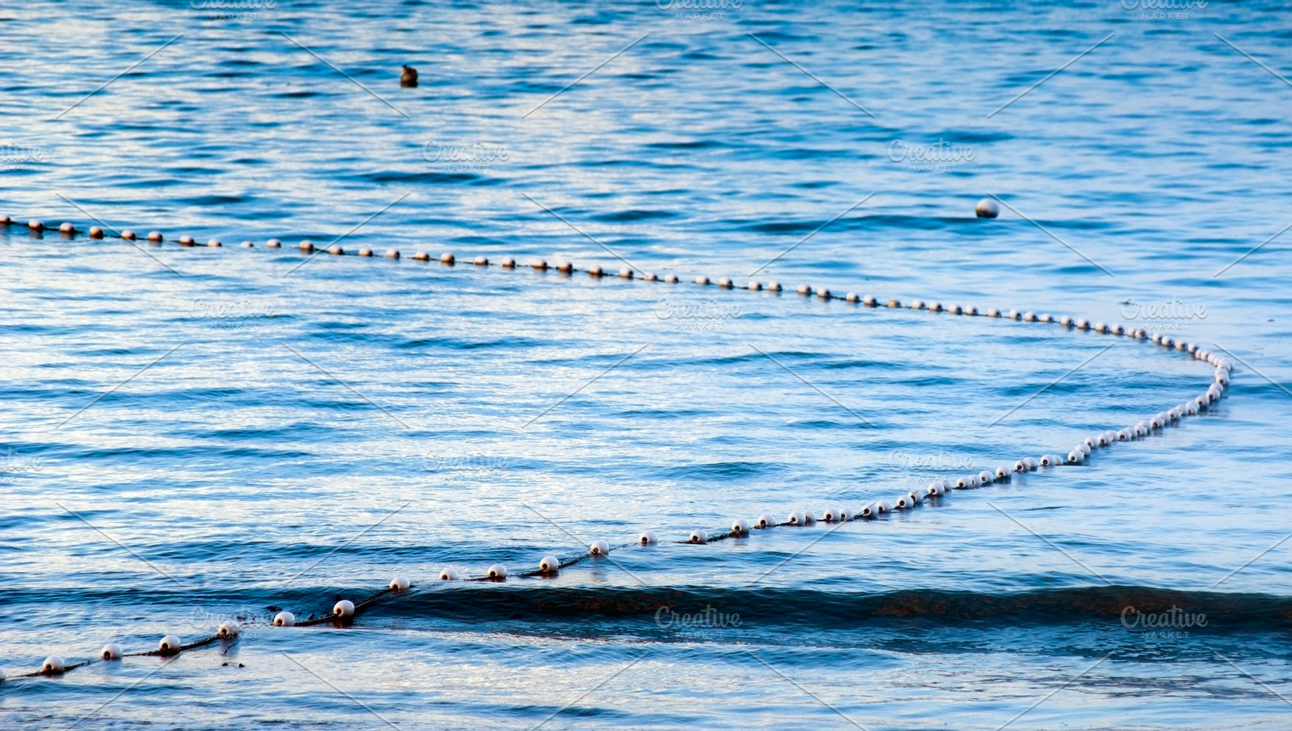 Shark Nets, a Nature Photo by THP Creative