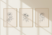 Peonies Vector Illustrations, a Decorative Illustration by Emma Webb Studio (Thumbnail 7 of 9)