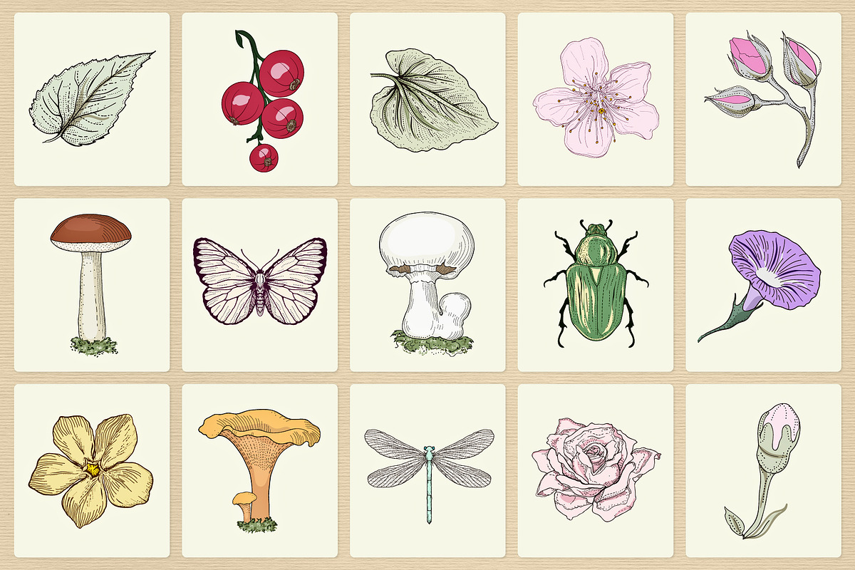 Enchanted Garden Collection, an Illustration by YvY (Photo 3 of 7)