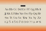 Arleon Domenk Display Elegant Serif, a Serif Font by Denustudios (Thumbnail 14 of 15)