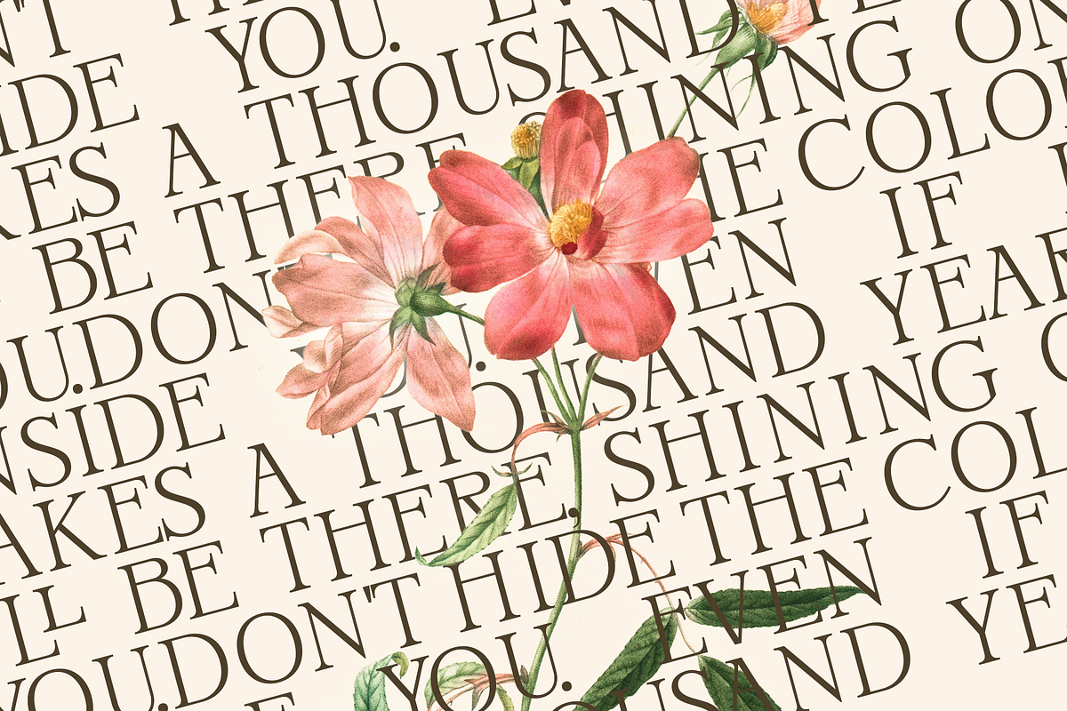 Oonelle - Elegant Serif Display, a Font by Indotype Foundry (Photo 5 of 10)