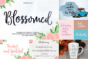 Font Collection Bundle, a Script Font by Zane Studio (Thumbnail 11 of 21)