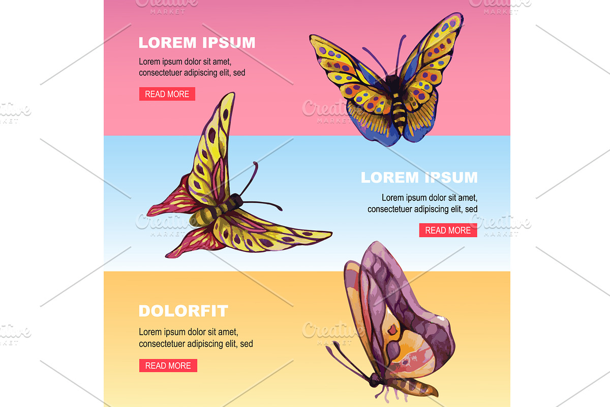 butterfly banner. cute collection of, an Animal Illustration by Multigon
