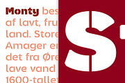 Monty Stencil, a Sans Serif Font by Jan-Christian Bruun (Thumbnail 1 of 14)