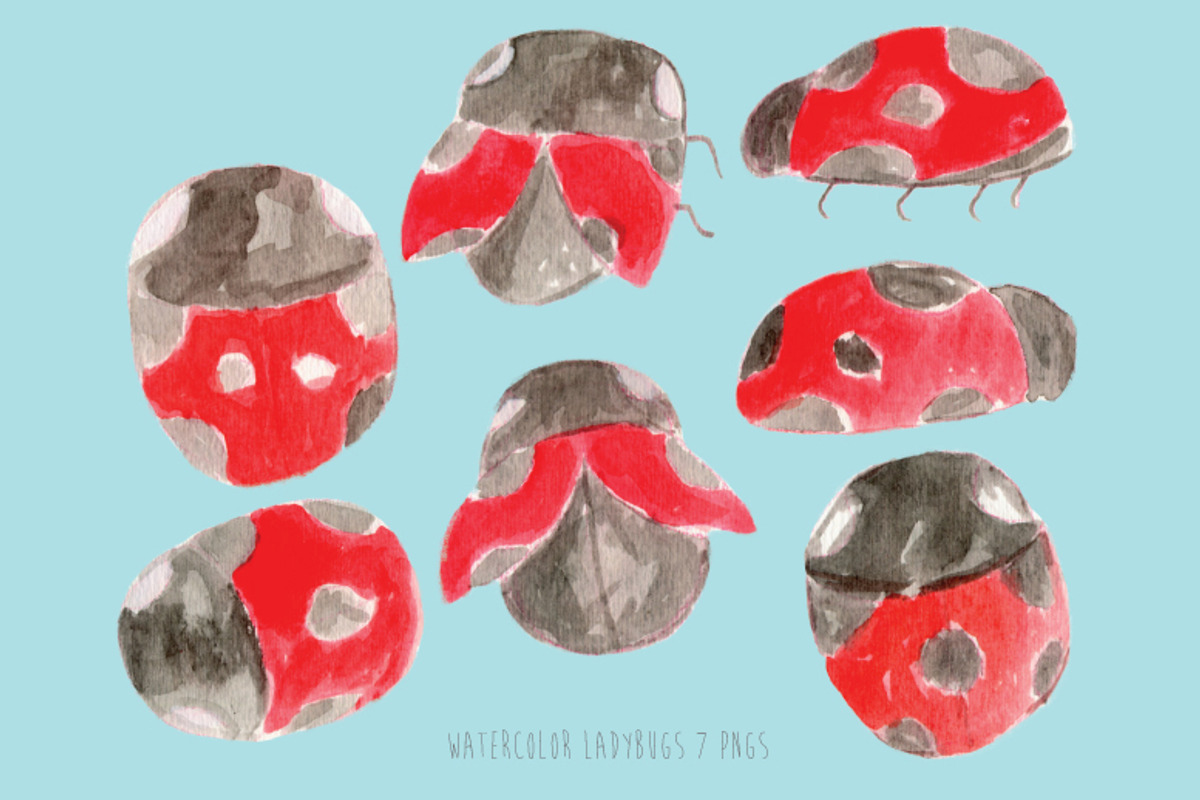 Watercolor Ladybugs, an Illustration by Sandra Jones Art (Photo 2 of 2)