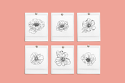 Peonies Vector Illustrations, a Decorative Illustration by Emma Webb Studio (Thumbnail 6 of 9)