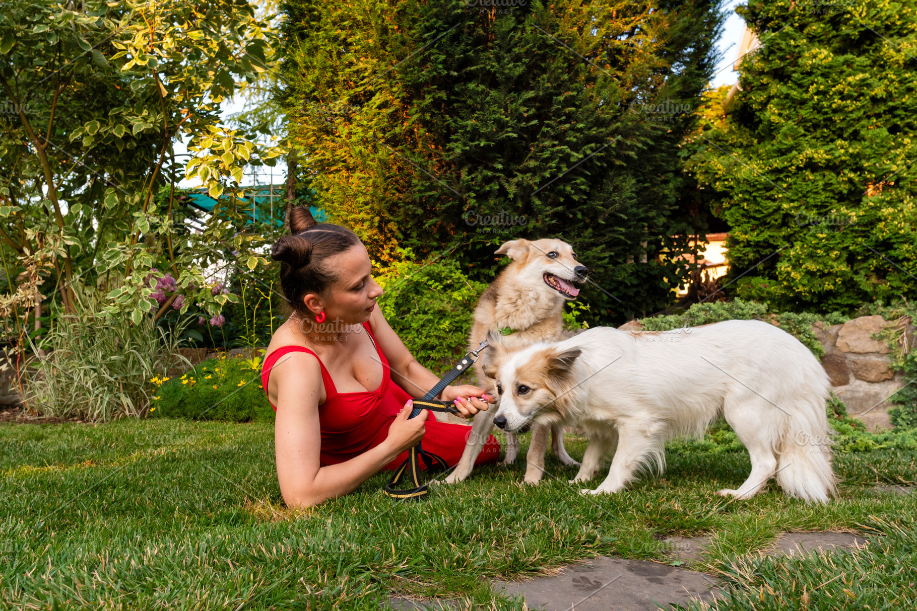 Woman training dogs outdoors on gree, an Animal Photo by Elena Vagengeim