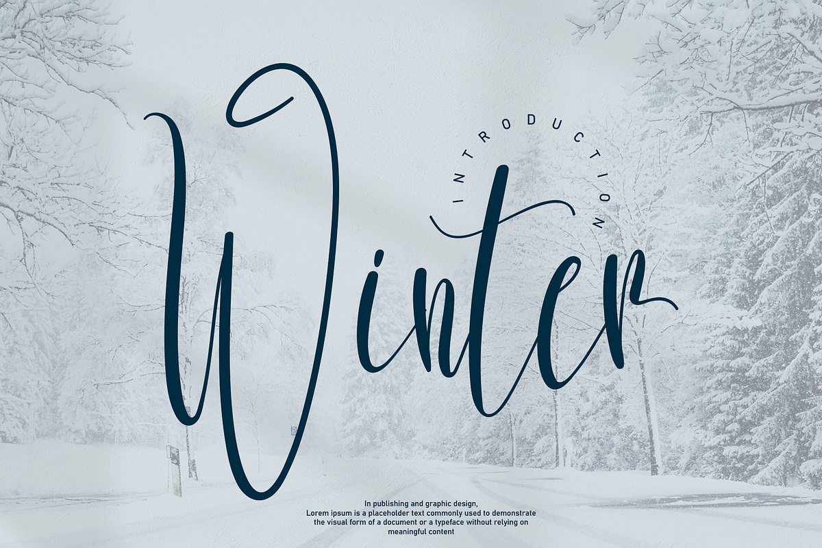 Bundles Script font Collections, a Script Font by Scratchones (Photo 30 of 35)