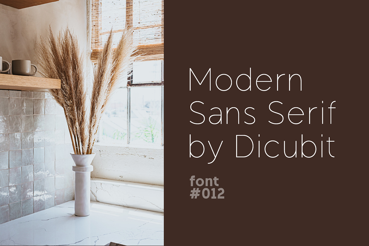 Regon Modern Sans Serif Font, a Sans Serif Font by Dicubit (Photo 6 of 10)