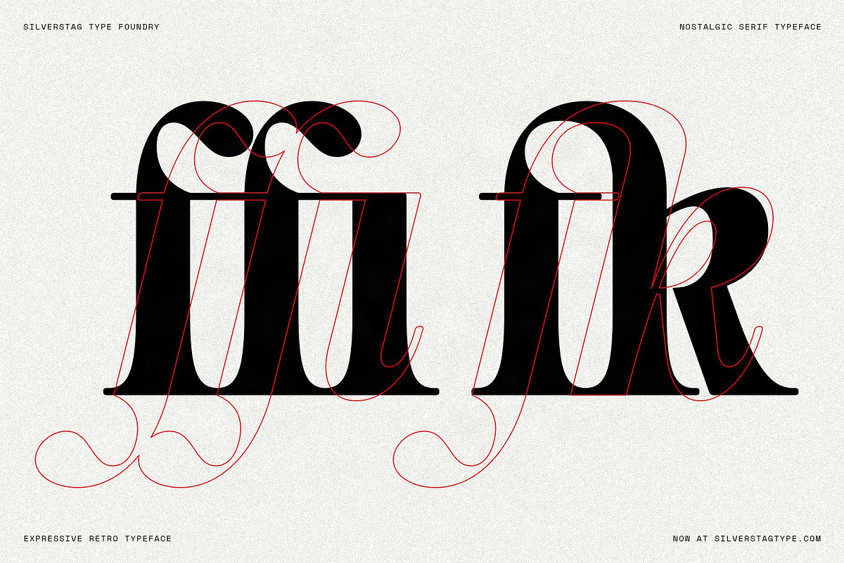 La Mystere - Editorial Serif Font, a Serif Font by SilverStag Type Foundry (Photo 9 of 30)