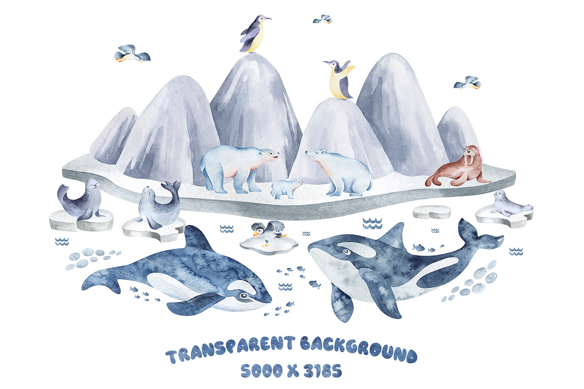 Polar Animals Watercolor Collection, an Animal Illustration by LenArt (Photo 8 of 16)