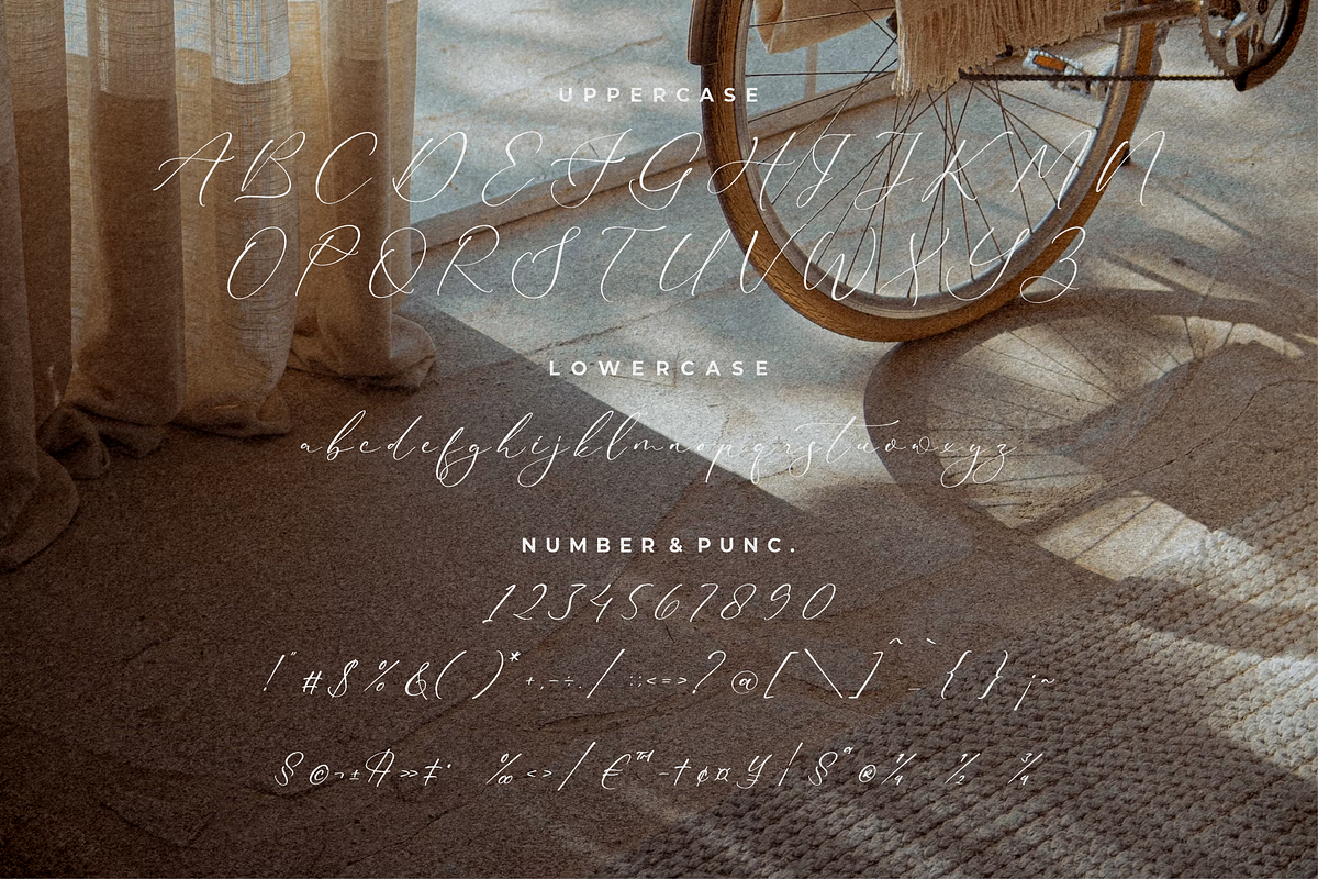 Rematho Klorofiland Duo Font, a Serif Font by Storytype Studio (Photo 13 of 15)