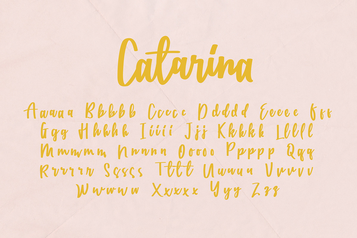 Catarina an Handwritten Font preview 8