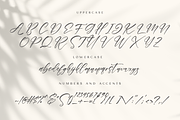 Liformase, a Script Font by Wildan Type (Thumbnail 7 of 7)