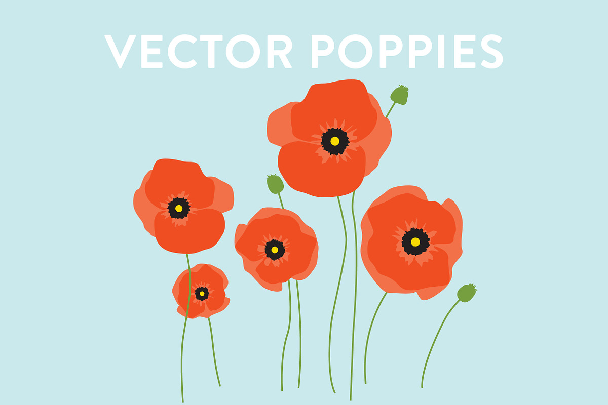 Vector Poppy Flowers, an Illustration by Sarah Hearts (Photo 1 of 2)