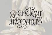 Enlighten - Aesthetic Serif Font, a Serif Font by Inviline.co (Thumbnail 7 of 16)